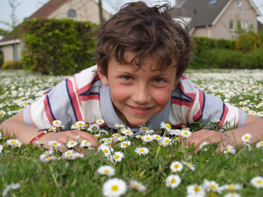 Noud Sigmans